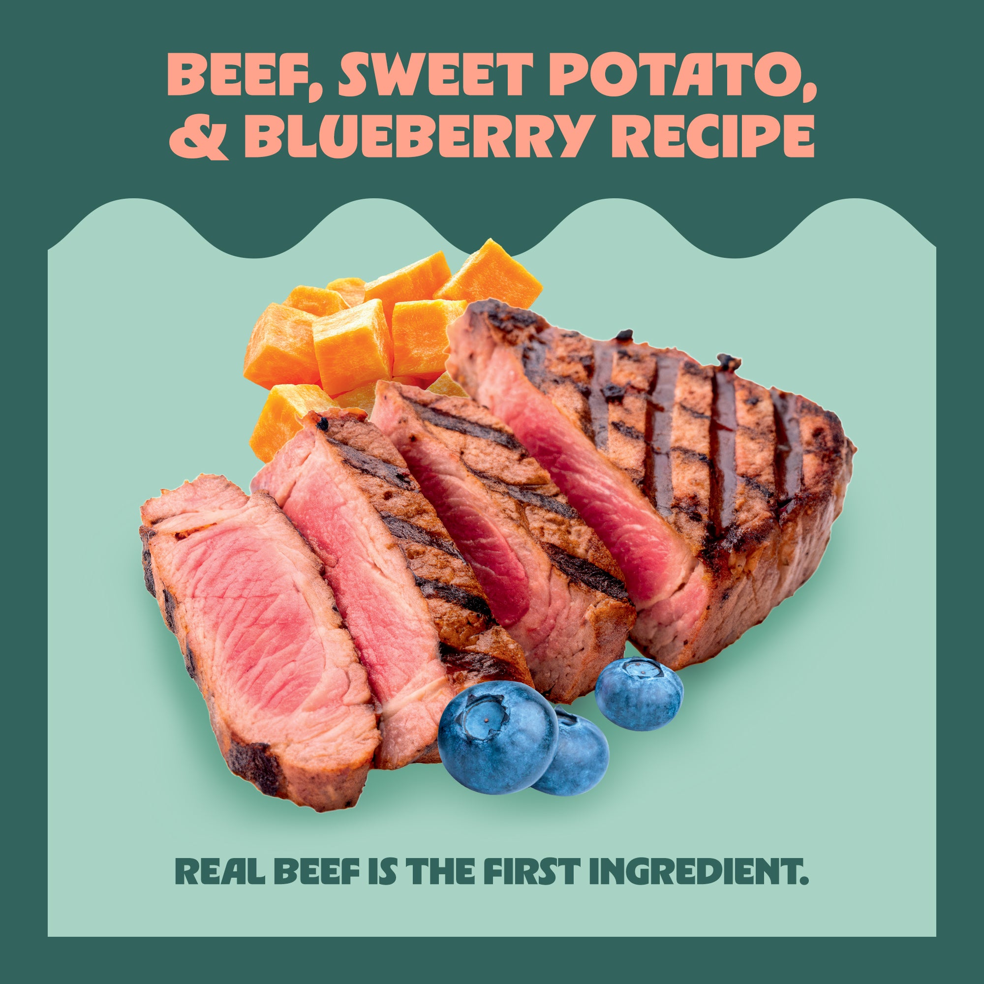 Beef, Sweet Potato, & Blueberry