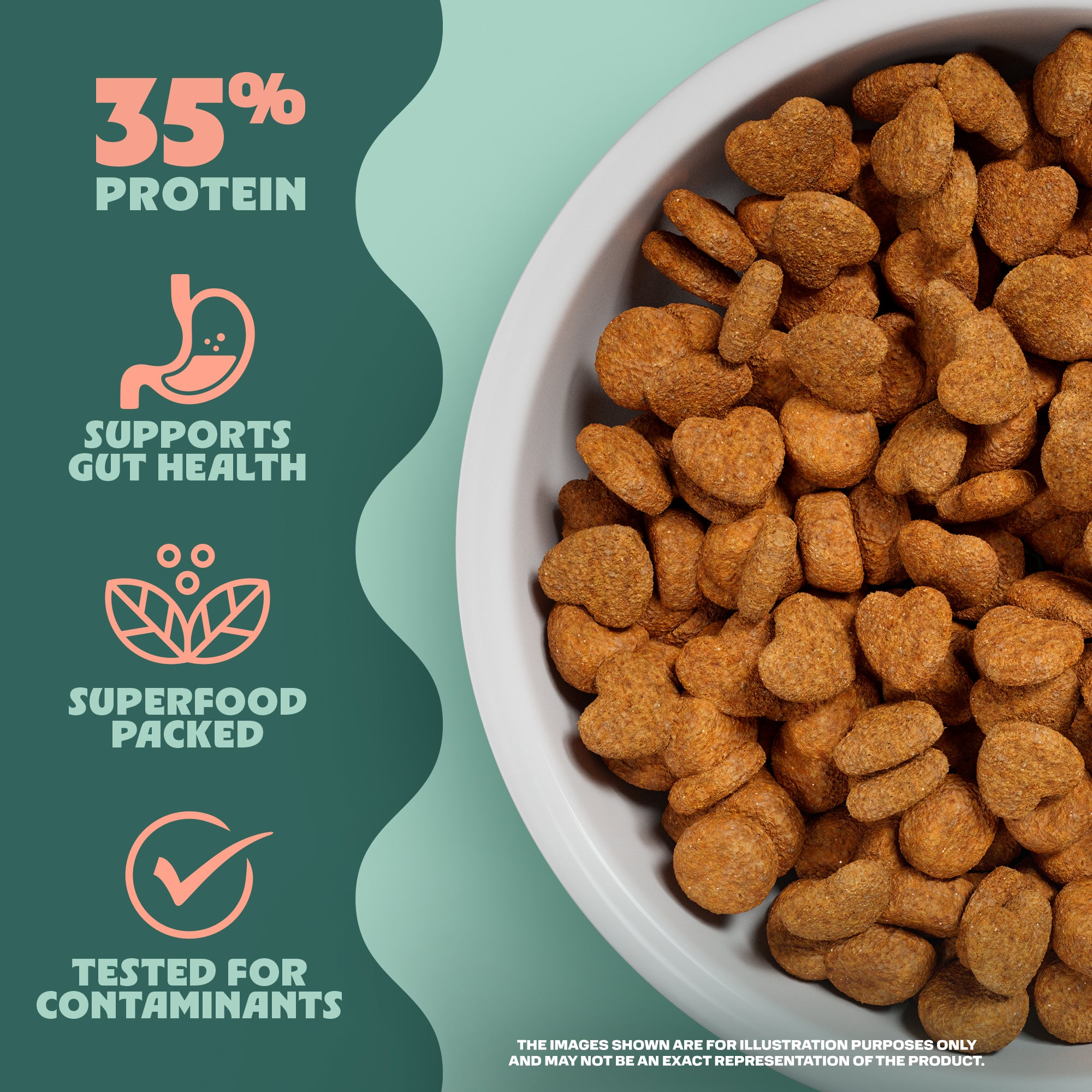 Bowl of dog food with health benefits text on a green background