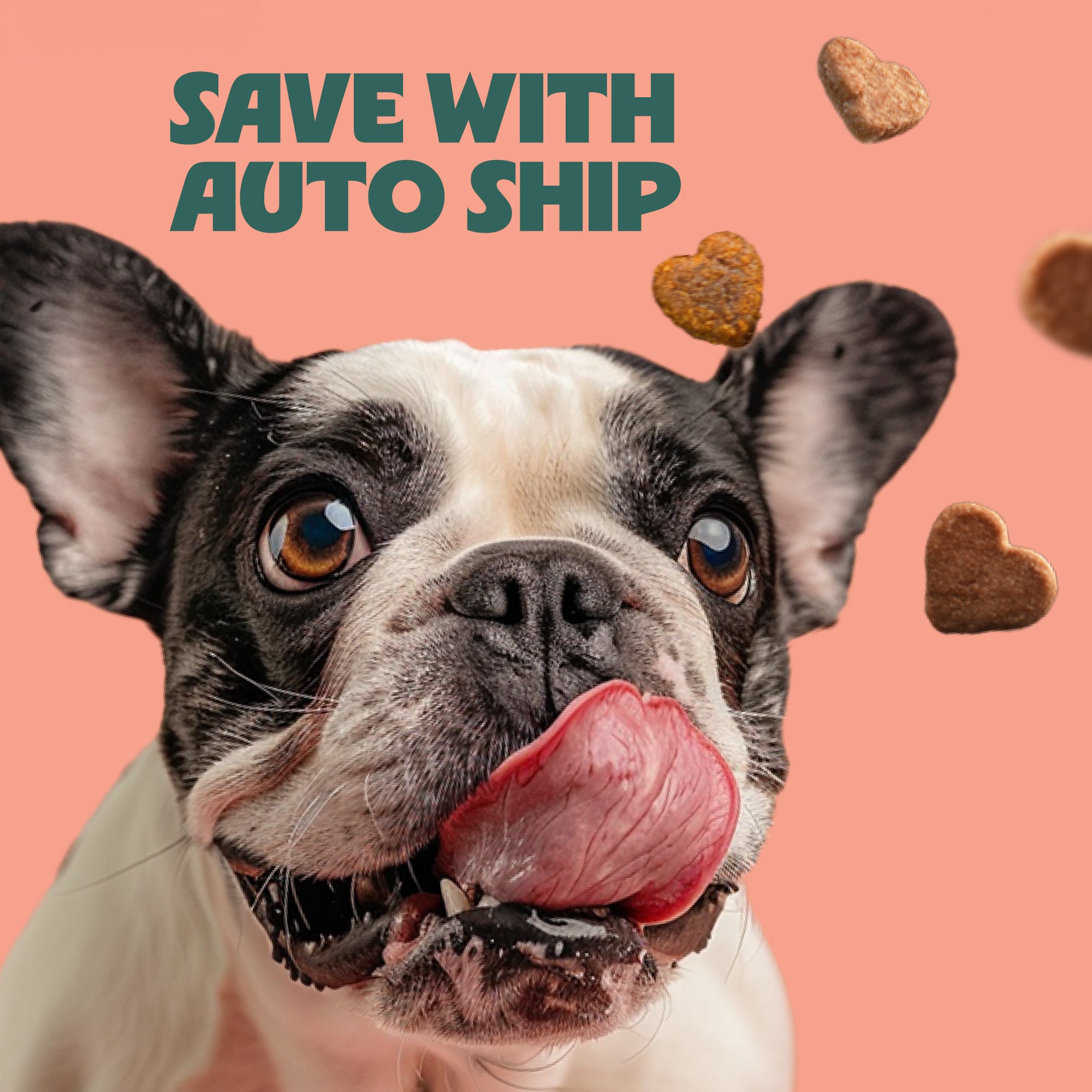 Chicken, Rice, & Pumpkin