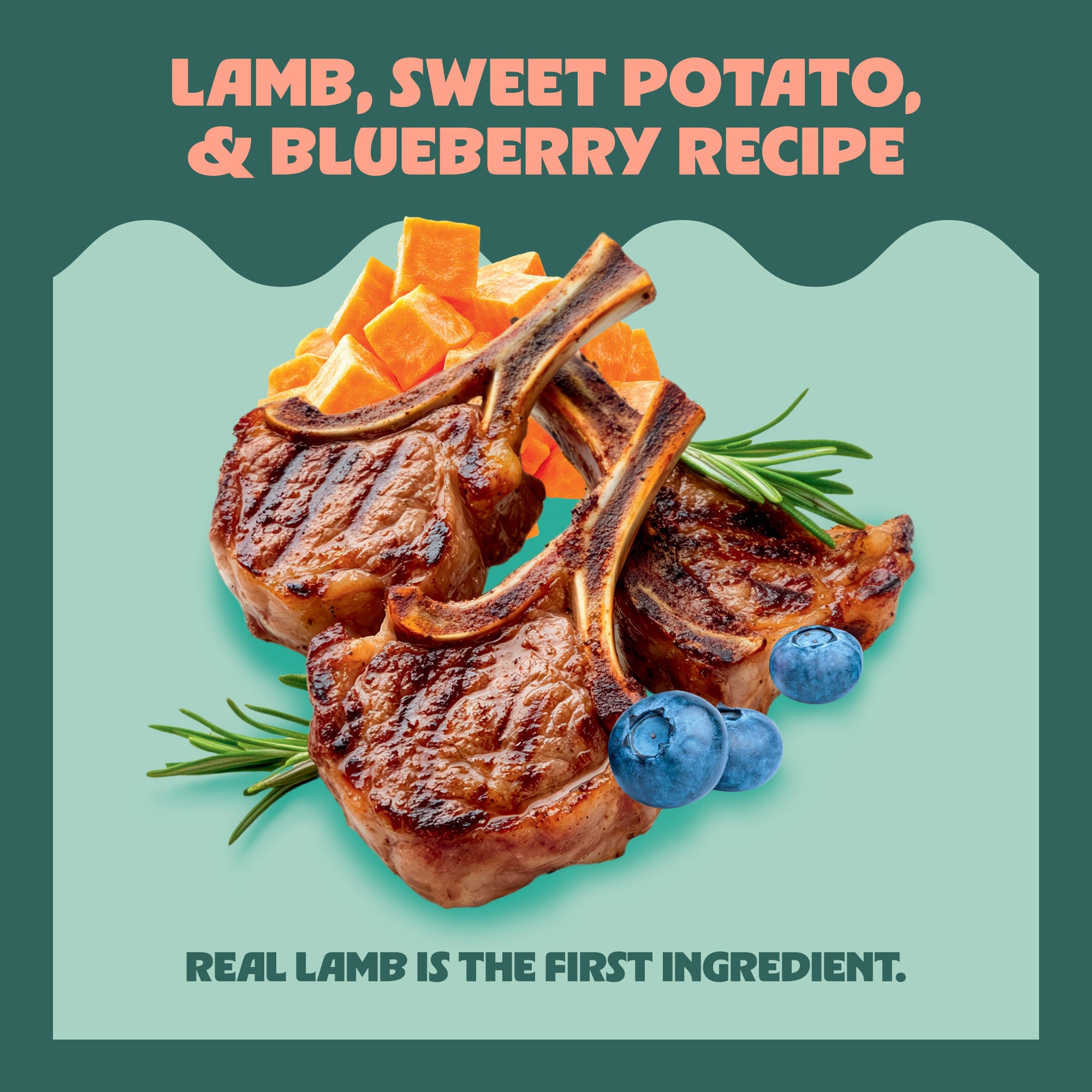 Lamb, Sweet Potato, & Blueberry