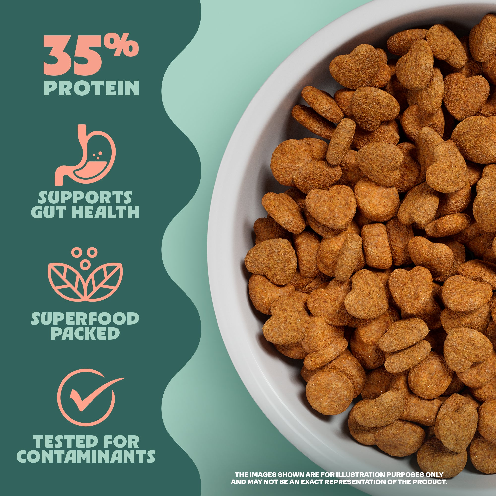 Bowl of dog food with protein content and health benefits text on a green background