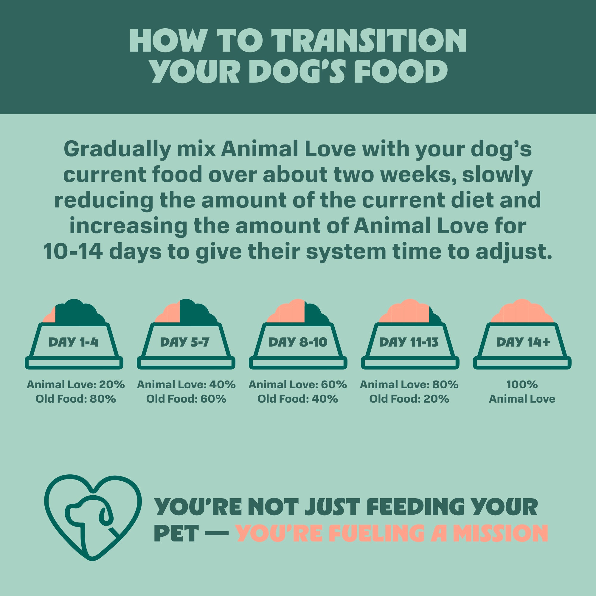 Beef, Sweet Potato, & Blueberry