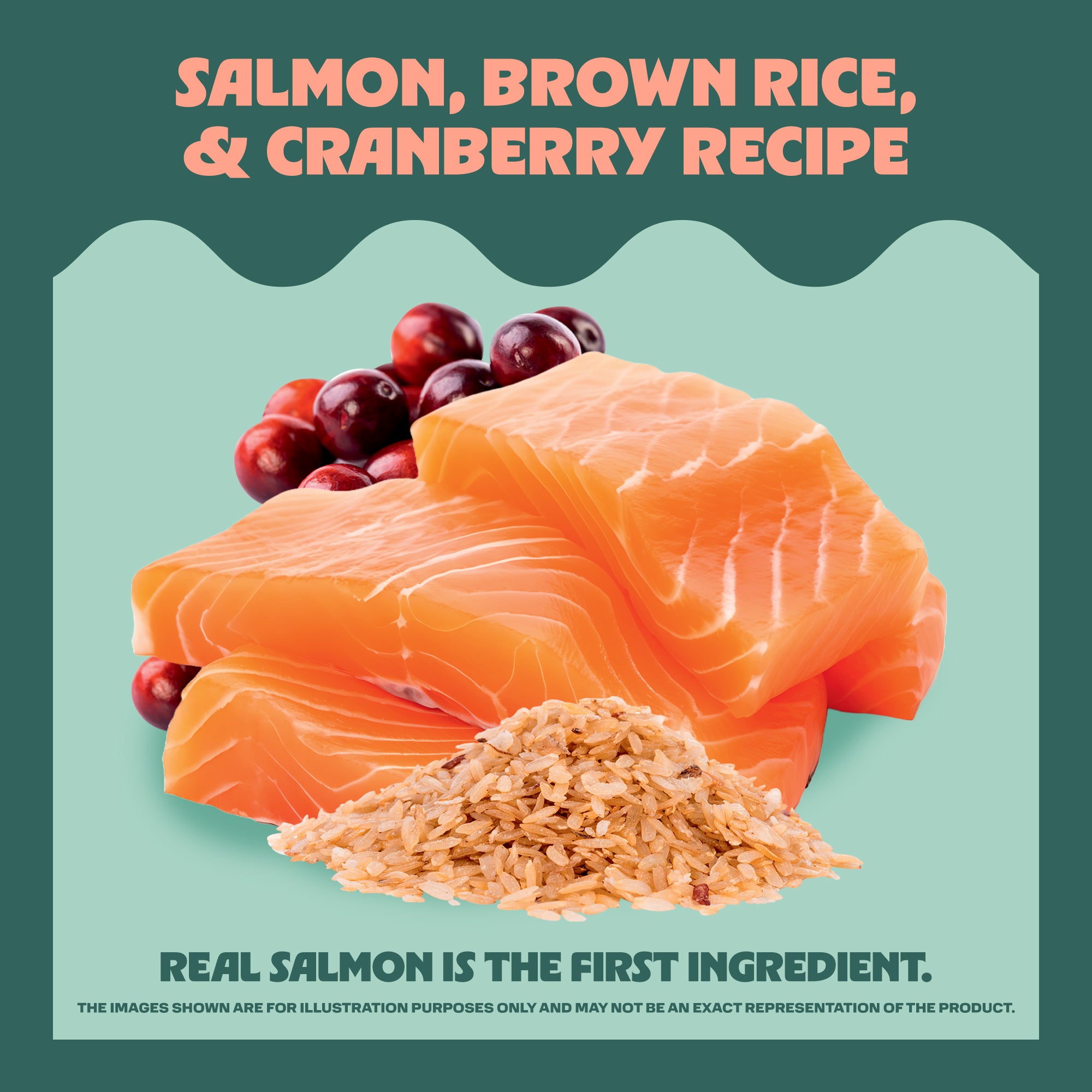 Salmon, brown rice, and cranberries with text about a recipe on a green background