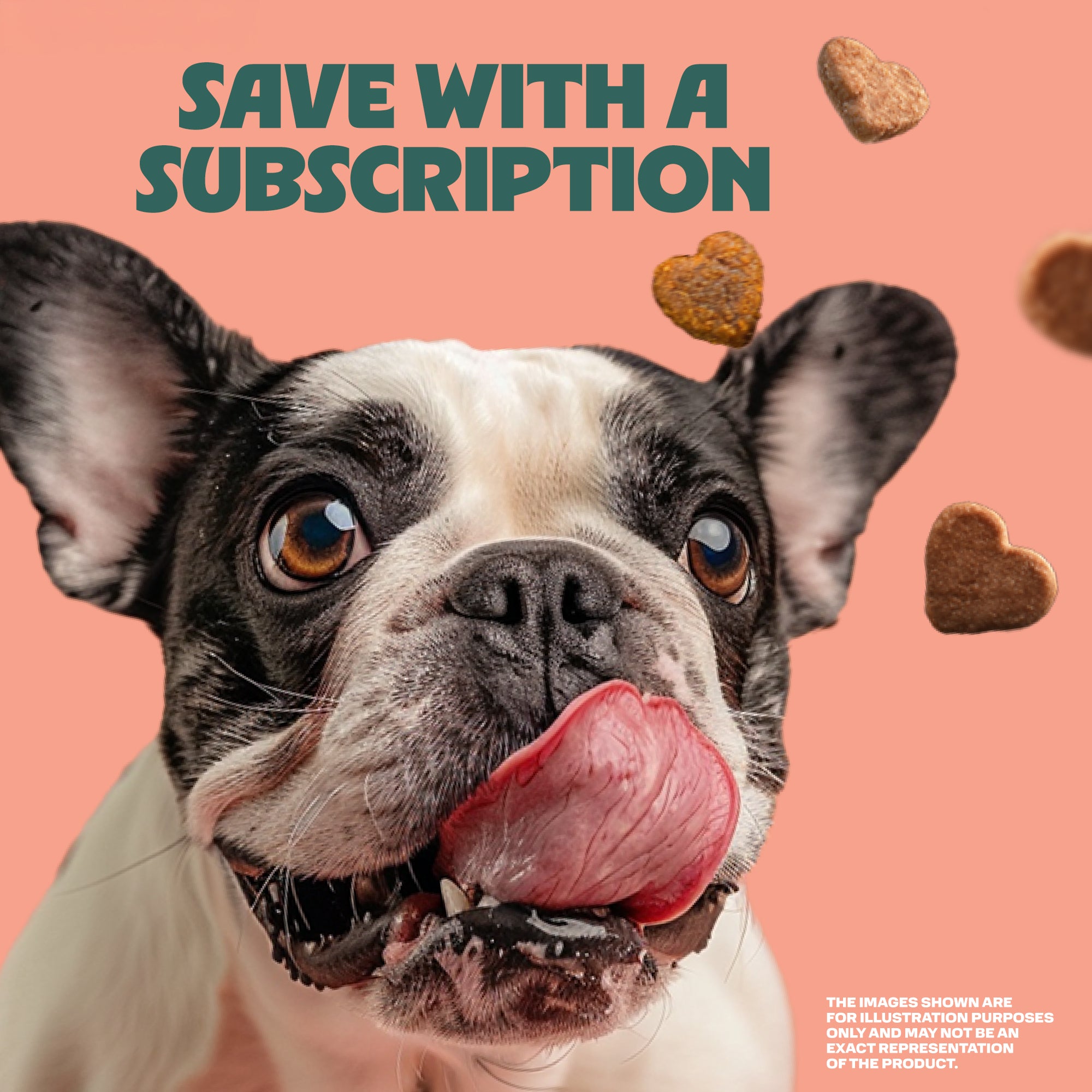 Dog with a pink background and text 'Save with a Subscription'