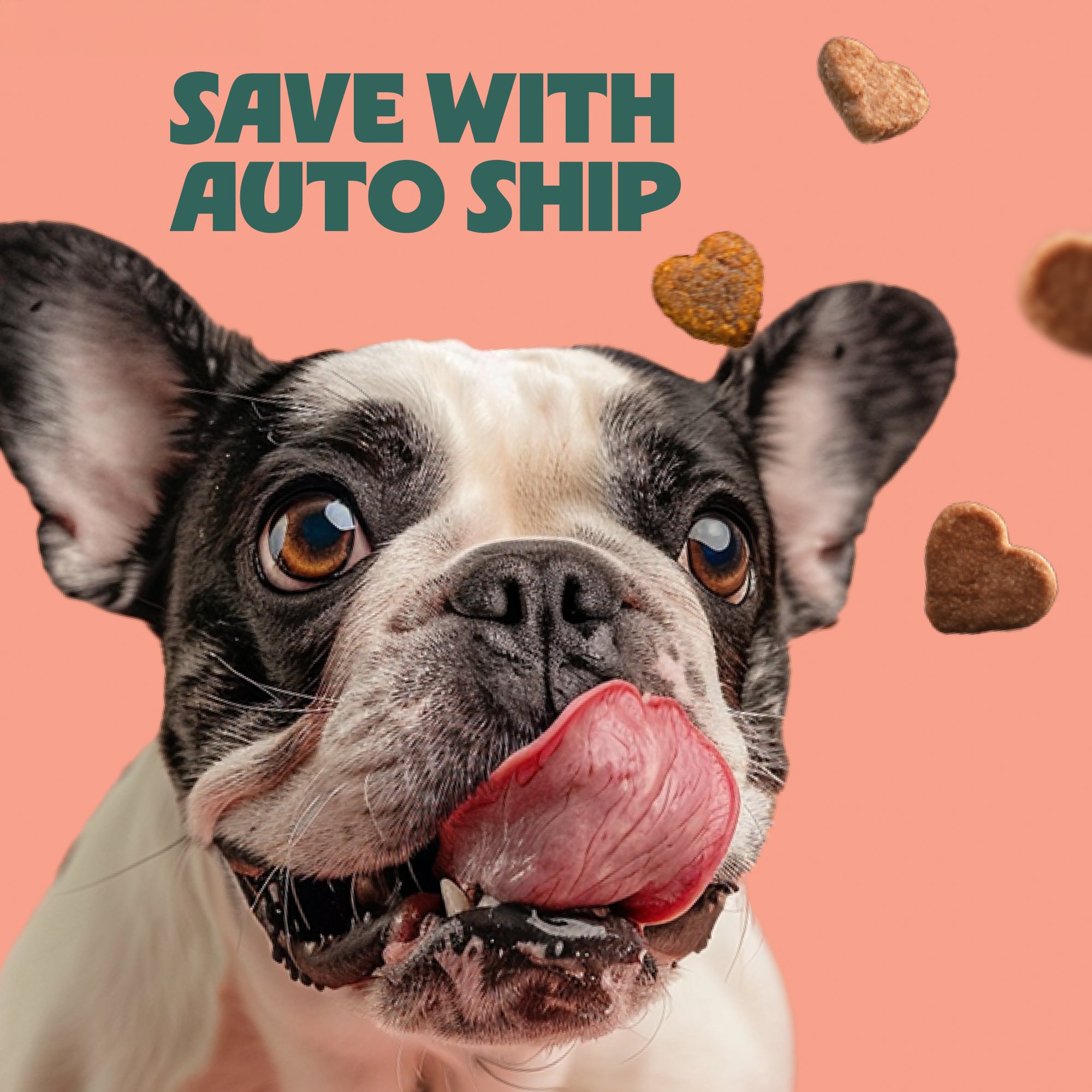 Salmon, Brown Rice, & Cranberry