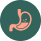Supports Gut Health